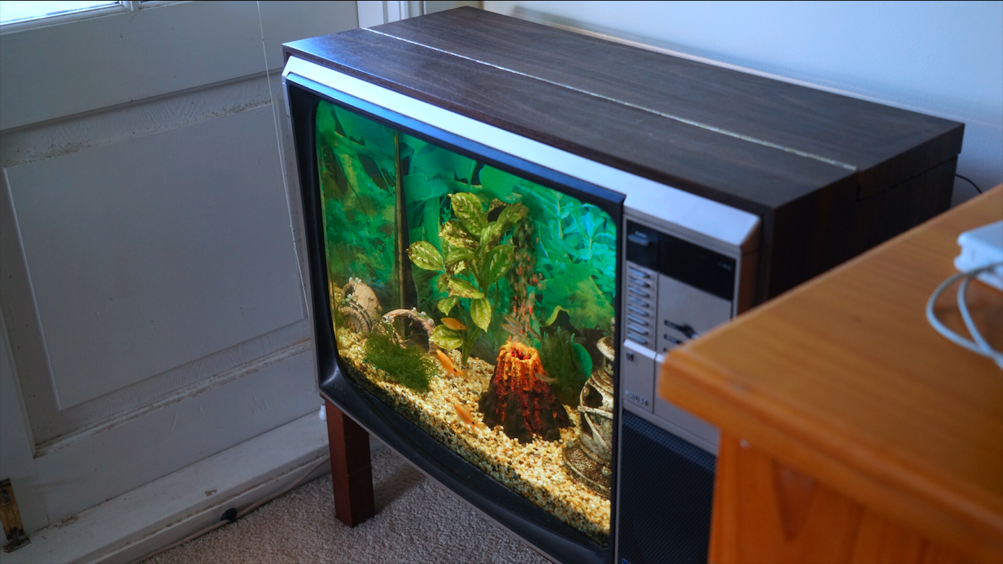 aquarium tv