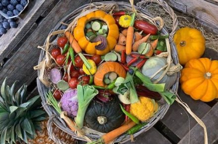 ana distri legumes de saison